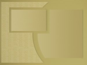 融资策略